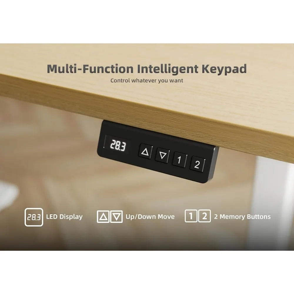 Ljustra Adjustable Height Standing Desk 55 Inch Electric Home Office Desk