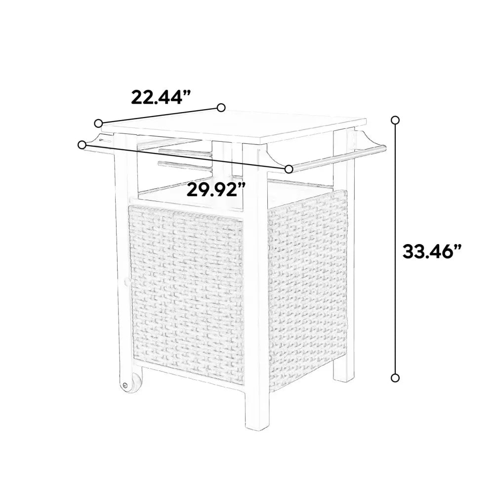 Single Door Bar Cart Outdoor Kitchen Wicker Rolling Cart Storage Cabinet