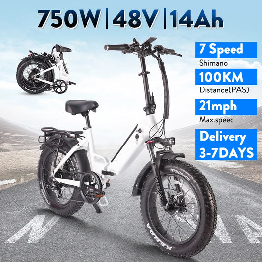 Outdoor Foldable Ebike 48V 750W Fat Tire Urban Commuter