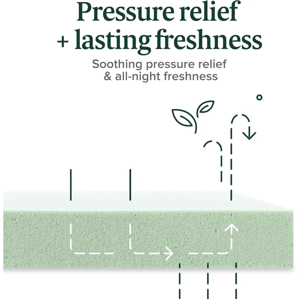 Ljustra 5 Inch Green Tea Memory Foam Twin Mattress Medium Firm Feel