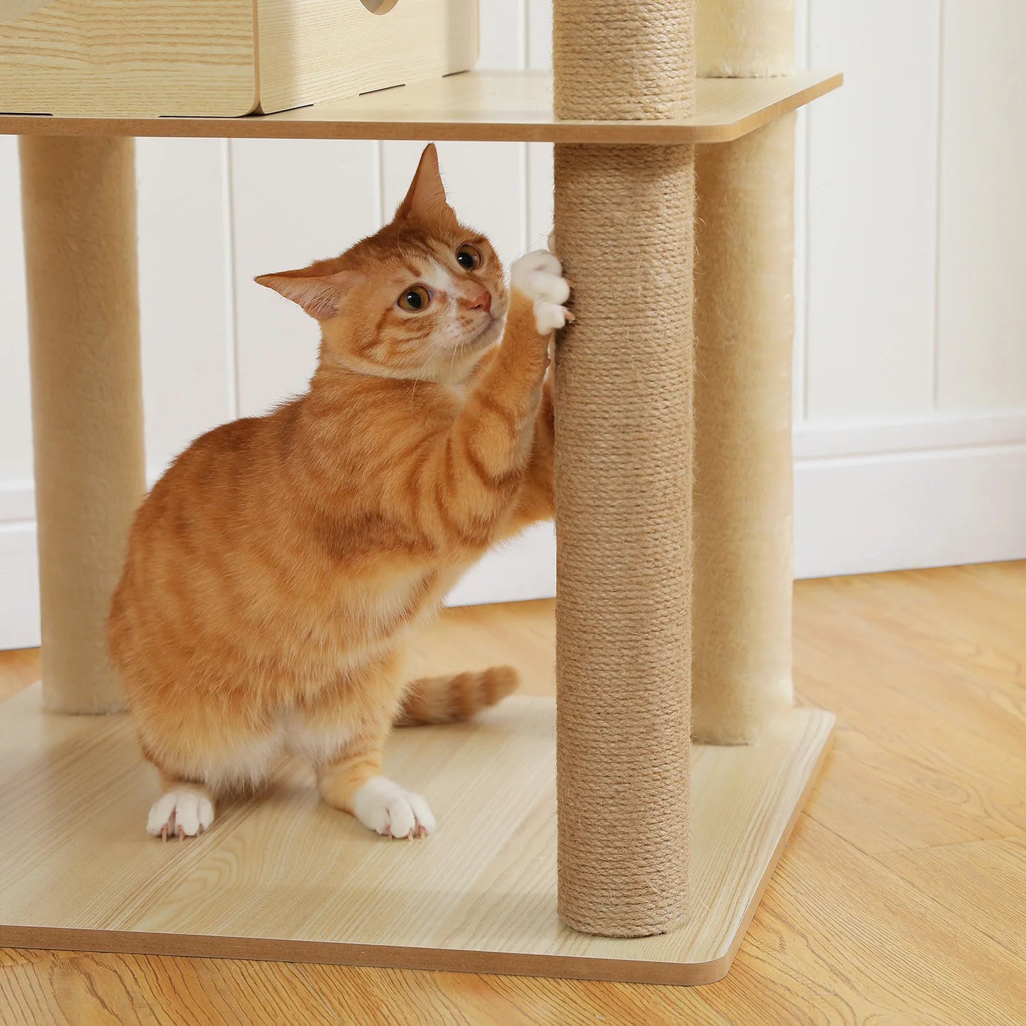 Multi-Level Cat Tree Indoor Wood Tower with Hammock Scratching Posts
