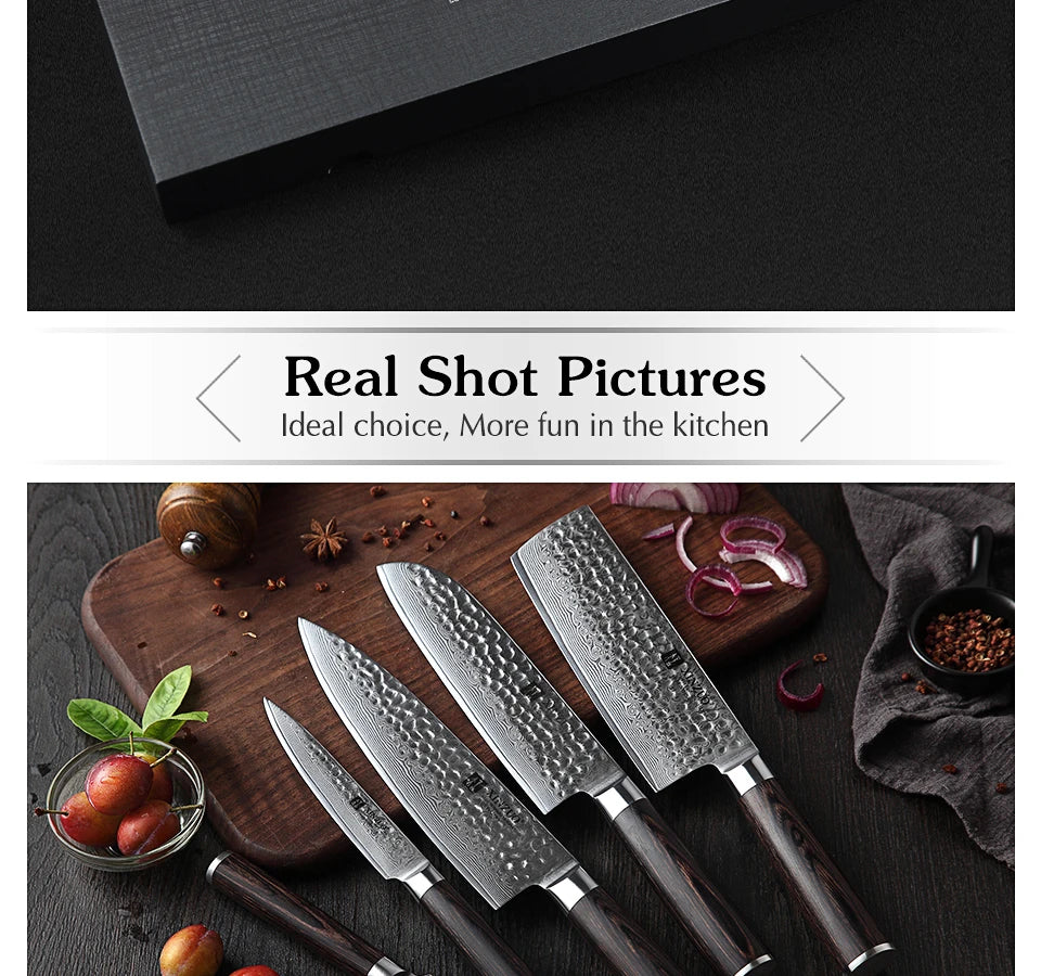 Ljustra 5PC Kitchen Knives Set VG10 Damascus Steel Pakkawood Handle