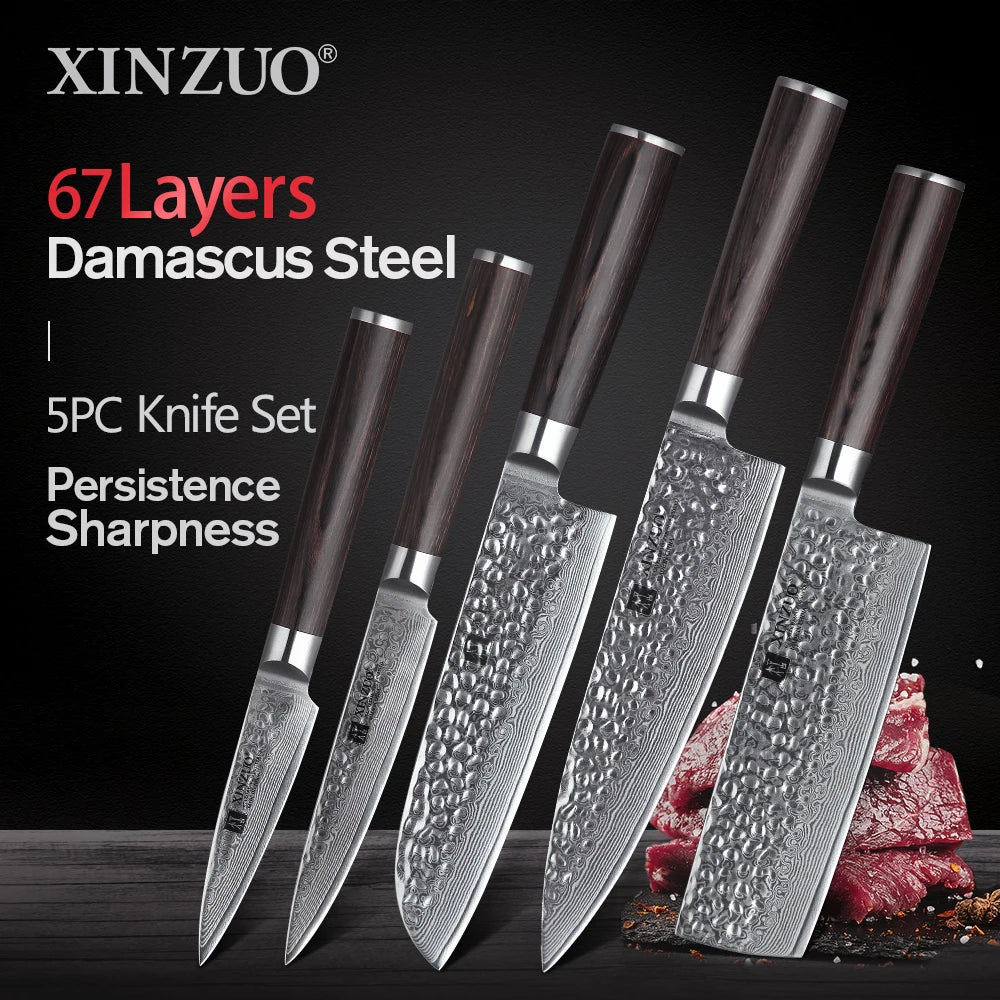 Ljustra 5PC Kitchen Knives Set VG10 Damascus Steel Pakkawood Handle
