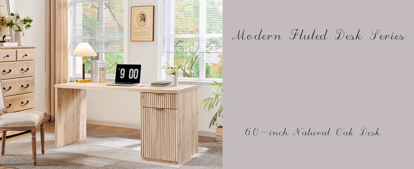 60 Inch Modern Executive Desk with Storage for Home Office Workstation