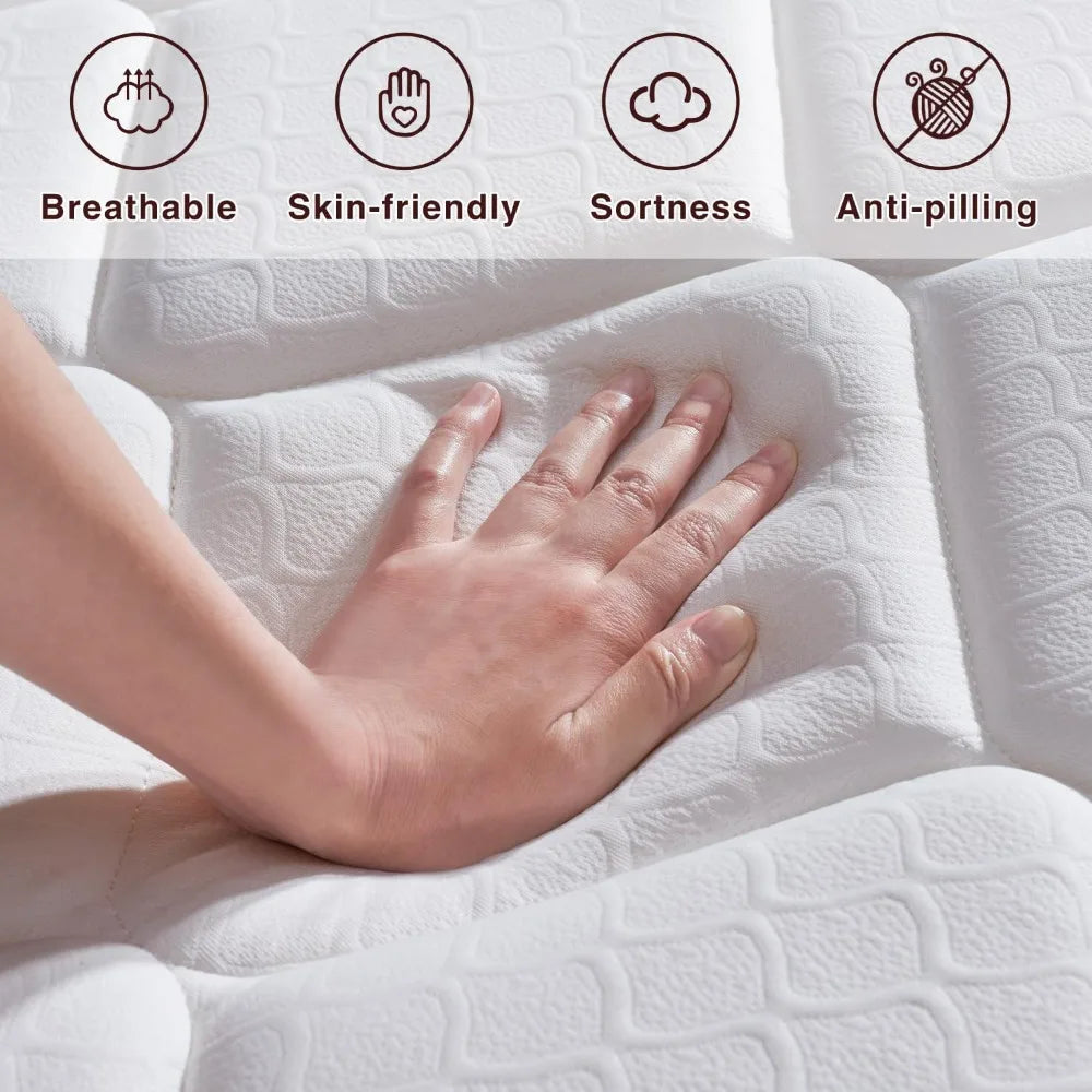 Ljustra Queen Mattress 12 Inch Memory Foam Hybrid Pocket Spring