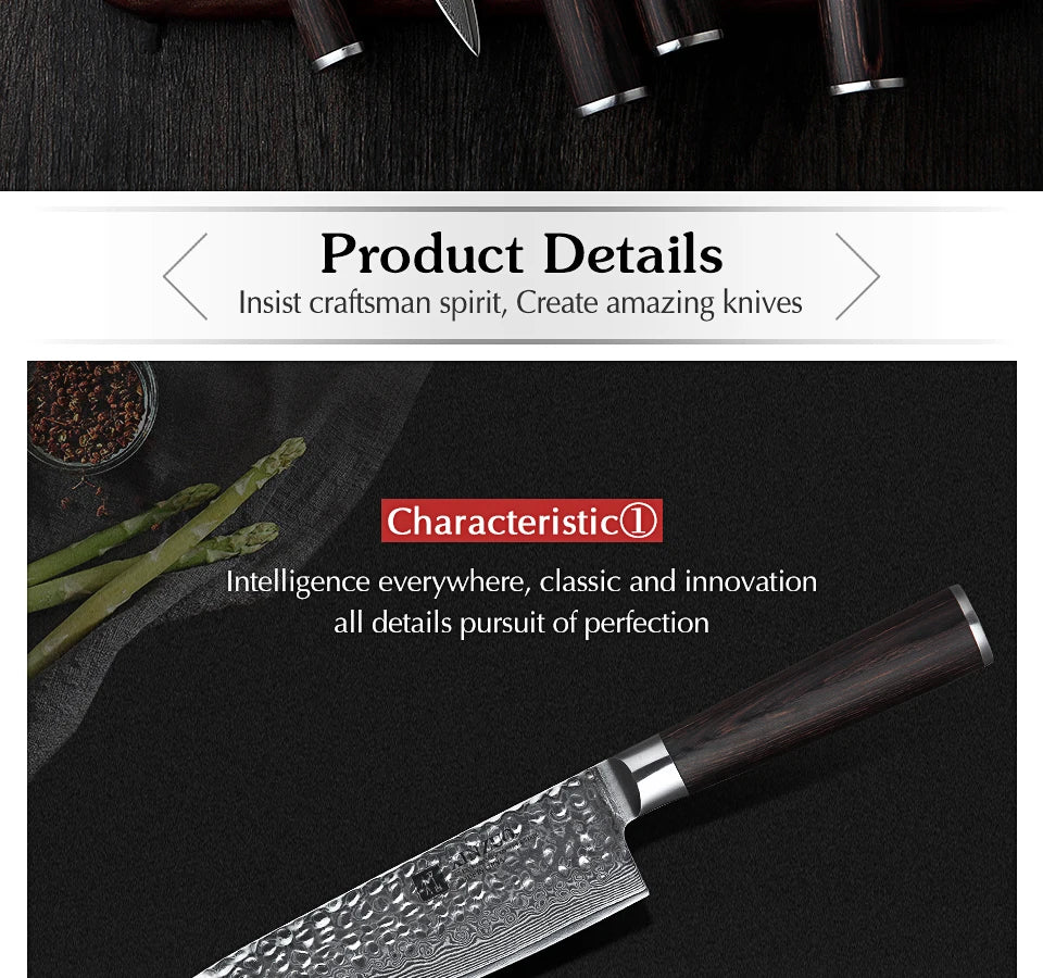 Ljustra 5PC Kitchen Knives Set VG10 Damascus Steel Pakkawood Handle