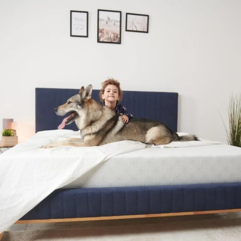 Ljustra 8 Inch Queen Size Mattress Cooling Gel Memory Foam Medium Firm Support