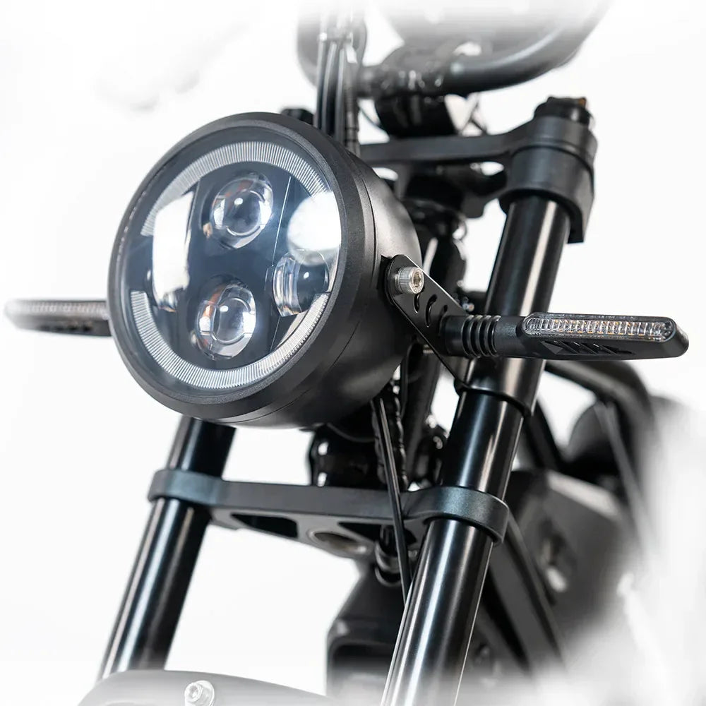 Ljustra HAPPYRUN G70 20" Electric Cargo Bike 2000W Dual Battery Long Range