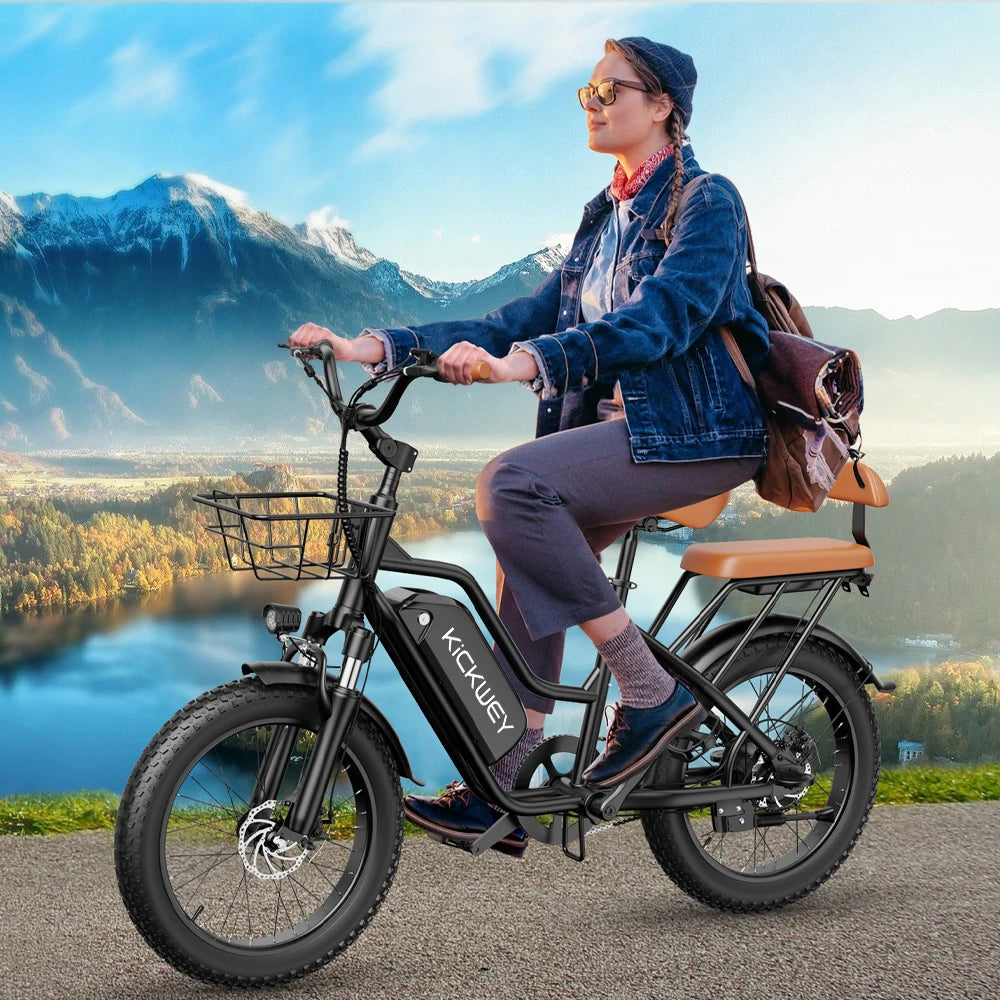 Ljustra LD20 Adult Electric Bike 1500W 32MPH 48V Mountain E-Bike