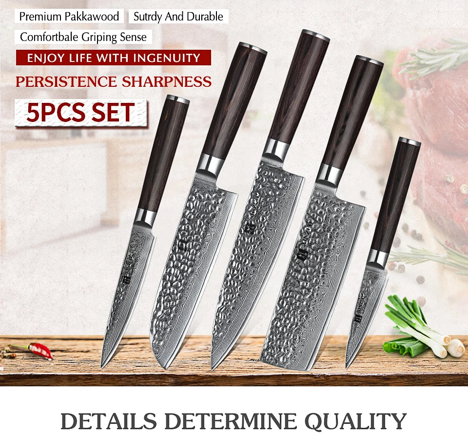 Ljustra 5PC Kitchen Knives Set VG10 Damascus Steel Pakkawood Handle