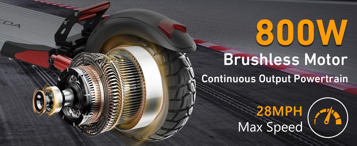 Electric Scooter 800W Motor 25MPH Folding E Scooter with Dual Braking